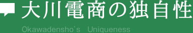 大川電商の独自性